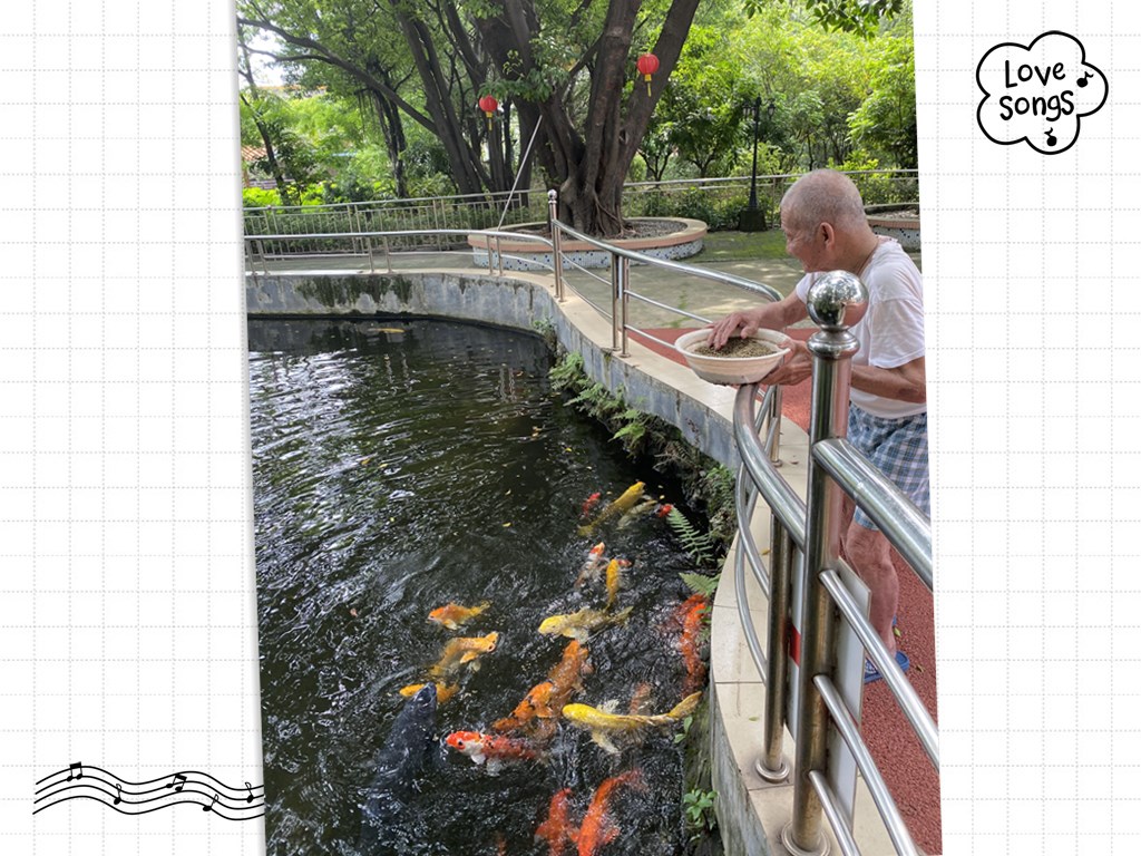 8.jpg 8.jpg